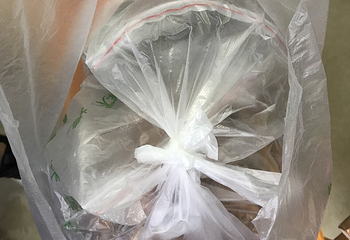 西双版纳南药园景区第 21 张图片