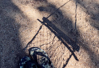 大树岛第 17 张图片