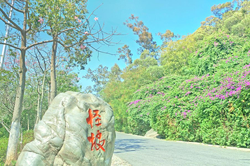 怪坡第 11 张图片