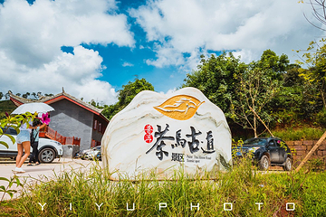 普洱茶马古道遗址公园第 38 张图片