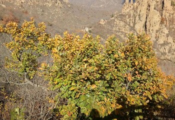 大黑山景区第 58 张图片