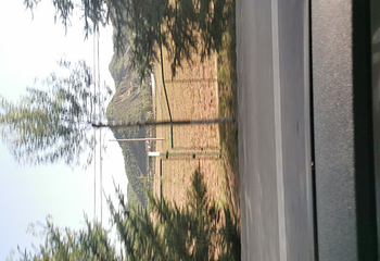 南泥湾风景区第 39 张图片