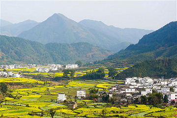 江岭景区第 42 张图片