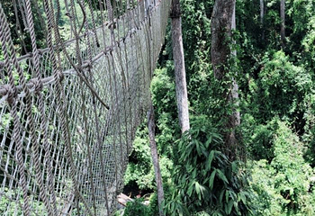 南腊河野趣营地第 4 张图片