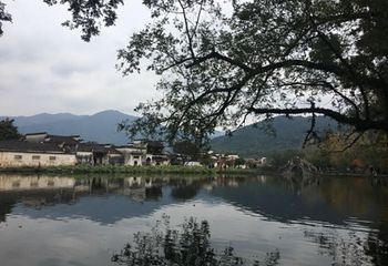 《宏村阿菊》实景演出第 26 张图片