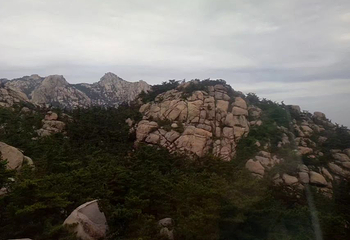 会场赶海园第 18 张图片