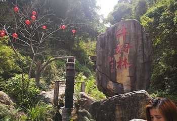 牛姆林生态旅游区第 55 张图片