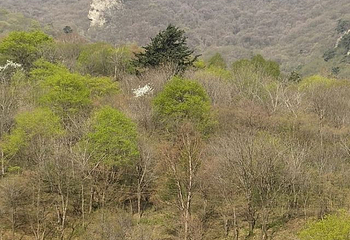 龙道沟第 6 张图片