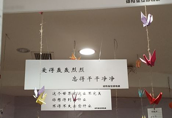 绵阳星空失恋博物展第 20 张图片