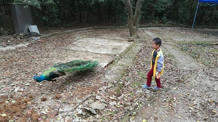 柳州动物园第 13 张图片