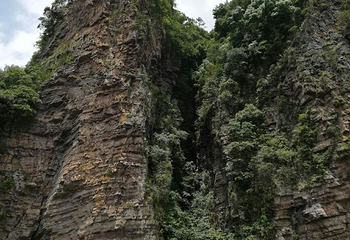 封开国家地质公园第 30 张图片