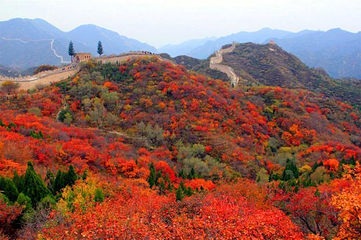 八达岭国家森林公园第 28 张图片