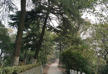 龟山风景区第 33 张图片