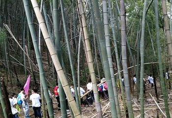 上青古道第 11 张图片