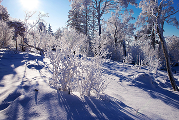 丝绸之路山地度假区滑雪场第 58 张图片