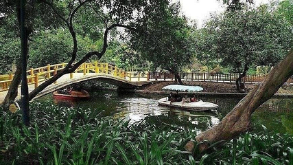 晓港公园第 12 张图片