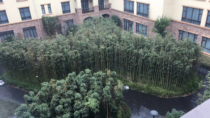 君澜石语汤池第 7 张图片
