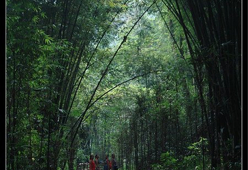 中岩第 27 张图片