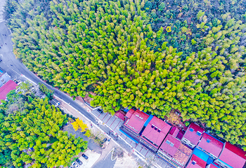 南山竹海古街第 18 张图片