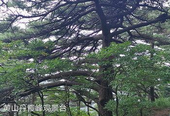 丹霞峰第 11 张图片