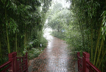 永丰林农业生态园第 21 张图片