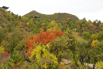 百里山水画廊—硅化木第 30 张图片