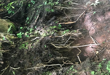 吉林龙湾景区第 43 张图片
