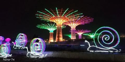 梅湖景区花博园第 10 张图片