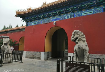 中山公园第 63 张图片
