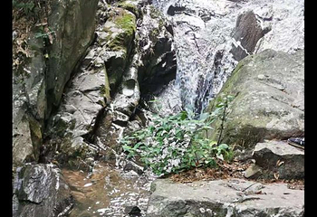 藏龙百瀑漂流第 46 张图片
