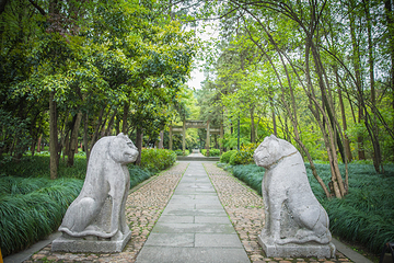 西湖风景区-太子湾公园第 19 张图片