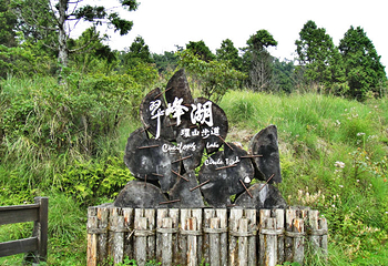 太平山森林游乐区第 23 张图片