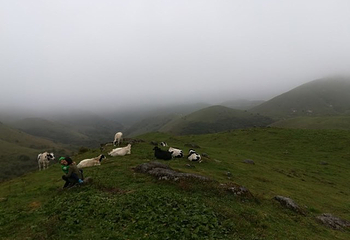 南山风景名胜区第 16 张图片