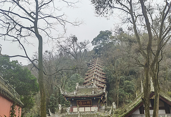 南桥第 75 张图片