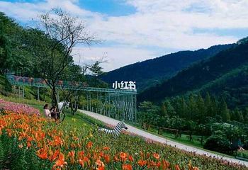 天府花溪谷第 103 张图片