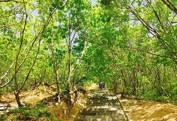 白云山第 44 张图片