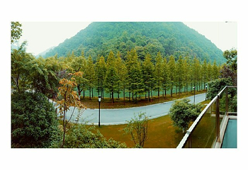 靖安恒茂御泉谷国际度假山庄第 12 张图片