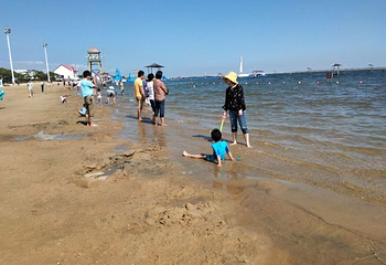 碧海金沙第 75 张图片