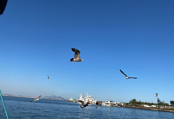 星海广场第 29 张图片