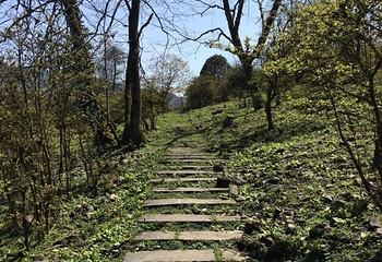 黑竹沟风景名胜区第 48 张图片