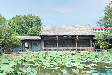偶园第 8 张图片