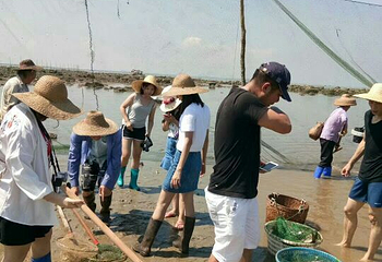 硇洲岛第 31 张图片