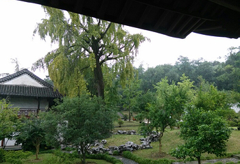 灵山石树景区第 3 张图片