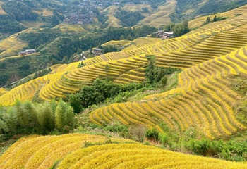 黄洛红瑶寨第 40 张图片