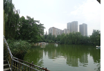 新华公园第 6 张图片