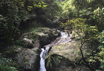 石门冲自然生态景区第 21 张图片