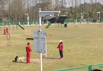 泰州凤城河田园牧歌景区第 19 张图片