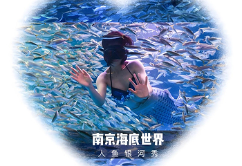 南京海底世界第 88 张图片