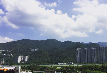 沙田马场第 41 张图片
