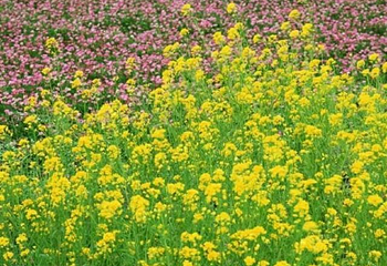 九莲山游览区第 50 张图片